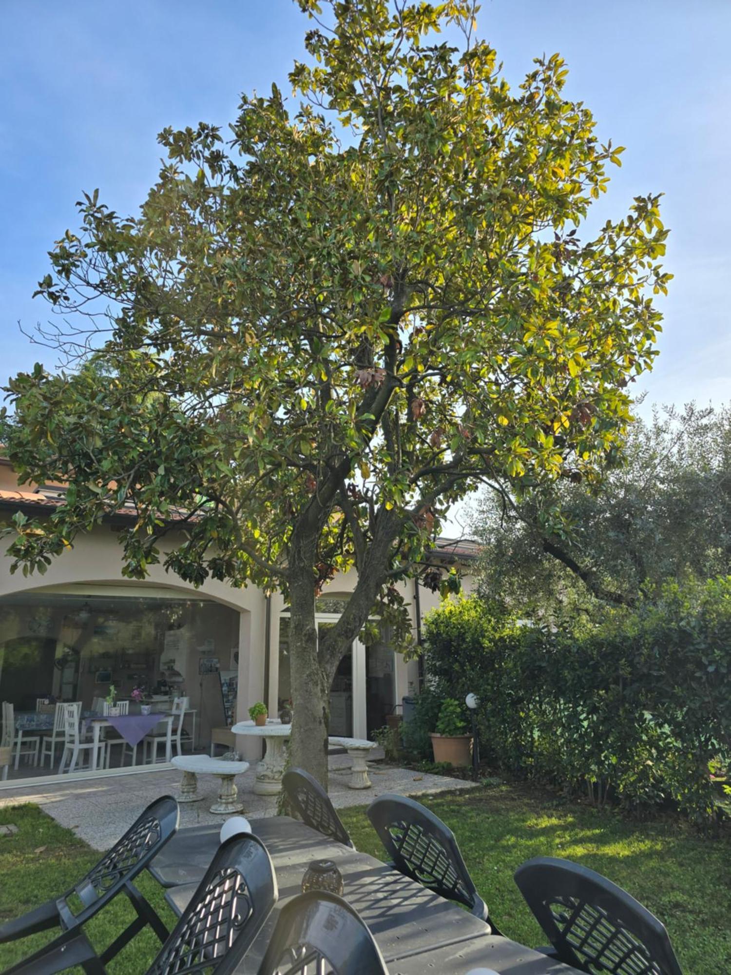 Villa Indipendente A Pochi Passi Dal Lago San Felice del Benaco Exteriör bild
