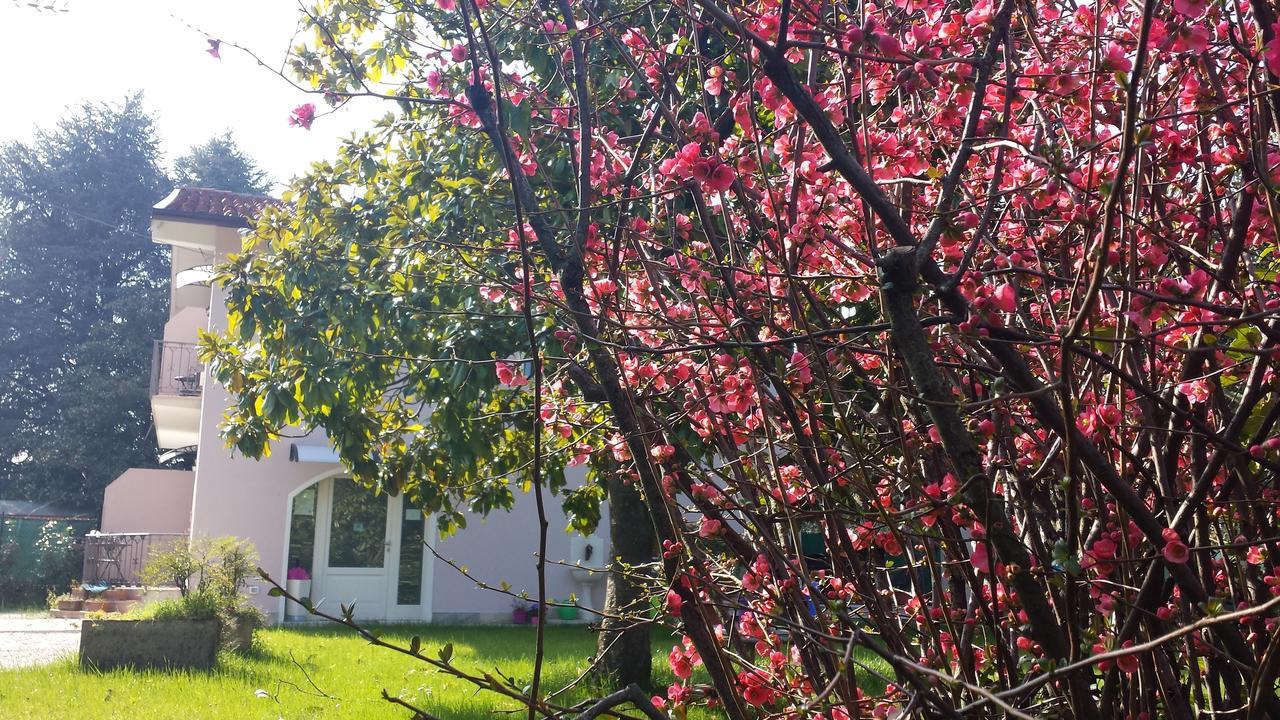 Villa Indipendente A Pochi Passi Dal Lago San Felice del Benaco Exteriör bild